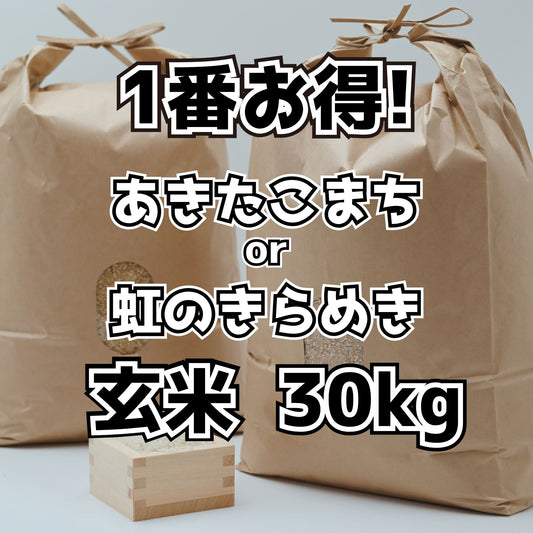 【お得な30kg】アオキンのお米 玄米 30kg｜岐阜県御嵩町産  減農薬　