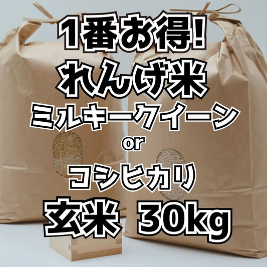 【お得なレンゲのお米】アオキンのお米 玄米 30kg｜岐阜県御嵩町産 減農薬　